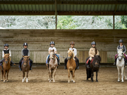 Ecole d’équitation
