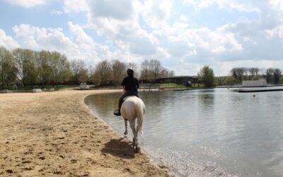 Sortie équestre sur la plage de Torcy 🐎