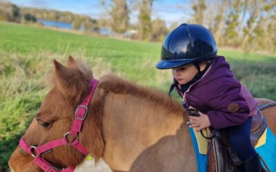 BAPTÊMES PONEY ! 🐴🌞